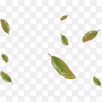 叶剪贴画.绿叶飘落的材料-空若网 叶剪贴画.绿叶飘落的材料-空若网