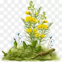 花卉设计-空若网 花卉设计-空若网