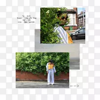 树牌树-空若网 树牌树-空若网