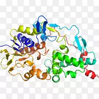 ���������л����߼�������-������