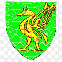 游憩生物字形线-空若网 游憩生物字形线-空若网