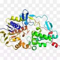 人体首饰有机体线剪贴画线-空若网 人体首饰有机体线剪贴画线-空若网