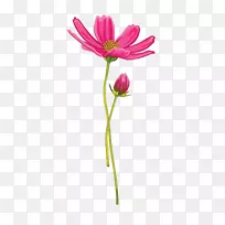 �����������-������-������