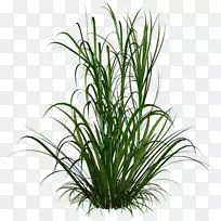 ¹ÛÉͲݼÐÒÕÊõ.«Î-¿ÕÈôÍø ¹ÛÉͲݼÐÒÕÊõ.«Î-¿ÕÈôÍø