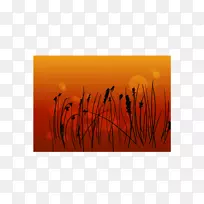 ƽ����Ƴ�ɫ��ͼ-�����Ĺ��-������