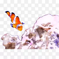 水彩画海洋生物文本水彩画鱼-空若网 水彩画海洋生物文本水彩画鱼-空若网