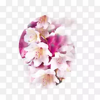 空气芯香,复合香水,飞蛾,兰花,香草花-空若网 空气芯香,复合香水,飞蛾,兰花,香草花-空若网