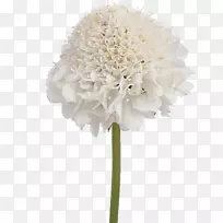 �л��˹���������-������