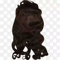 狗毛鼻子-狗-空若网 狗毛鼻子-狗-空若网