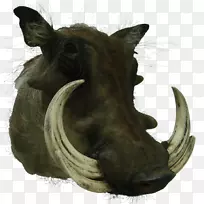 猪雕塑鼻子野生动物-猪-空若网 猪雕塑鼻子野生动物-猪-空若网