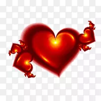 ���˽���������-���˽�-������