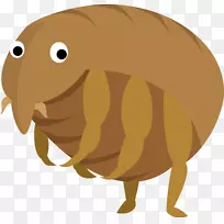 跳蚤昆虫猫蚤-空若网 跳蚤昆虫猫蚤-空若网