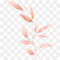 水彩画手绘水彩画叶子-空若网 水彩画手绘水彩画叶子-空若网