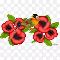 花卉创意剪贴画-空若网 花卉创意剪贴画-空若网