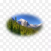 山景桌面壁纸树山站电脑-树-空若网 山景桌面壁纸树山站电脑-树-空若网