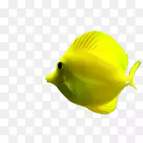 Josécarioca 0抽象土坯系统-成龙-空若网 Josécarioca 0抽象土坯系统-成龙-空若网