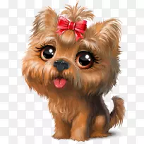 约克郡小猎犬可爱的小狗美容剪贴画-小狗-空若网 约克郡小猎犬可爱的小狗美容剪贴画-小狗-空若网