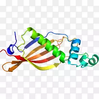 ƽ����Ƽ�����.���-������