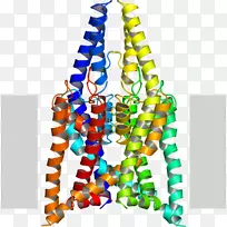 车身珠宝线-空若网 车身珠宝线-空若网