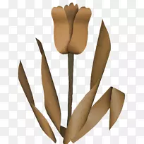 花纸.花卉图片材料的图像花束-空若网 花纸.花卉图片材料的图像花束-空若网