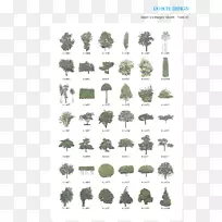 树型树-空若网 树型树-空若网