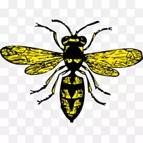 ÃÛ·äÀ¥³æÍ¼Êé²åͼ-ÃÛ·ä¶¾Òº-¿ÕÈôÍø ÃÛ·äÀ¥³æÍ¼Êé²åͼ-ÃÛ·ä¶¾Òº-¿ÕÈôÍø