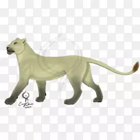 大猫陆生动物美洲狮-猫-空若网 大猫陆生动物美洲狮-猫-空若网