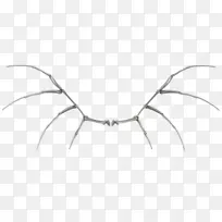 人体骨架、骨骼、人体解剖、智人-翅膀的秘密-空若网 人体骨架、骨骼、人体解剖、智人-翅膀的秘密-空若网