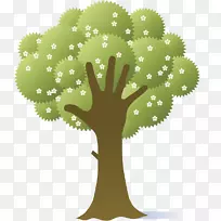 Adobe插画-绿色PNG创意插图棕榈树-空若网 Adobe插画-绿色PNG创意插图棕榈树-空若网