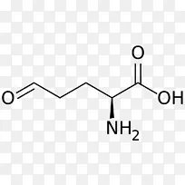 谷氨酸、必需氨基酸、谷氨酰胺-空若网 谷氨酸、必需氨基酸、谷氨酰胺-空若网
