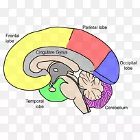 ����������ϵͳ����-��-������