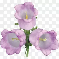 ������������������-��-������