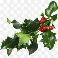 ʥ���ڼ����ռ����μ���ʥ��װ������-ʥ����-������