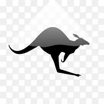 考拉红袋鼠澳大利亚剪贴画-考拉-空若网 考拉红袋鼠澳大利亚剪贴画-考拉-空若网