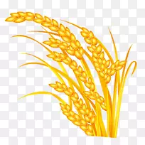 大米下载五粒大米-空若网 大米下载五粒大米-空若网