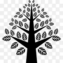 对称研究形状家庭护理中心:壳牌伊丽莎白j花园-对称-空若网 对称研究形状家庭护理中心:壳牌伊丽莎白j花园-对称-空若网