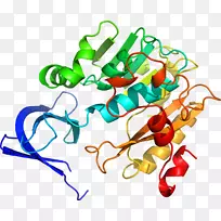 �����л����߶����������-������