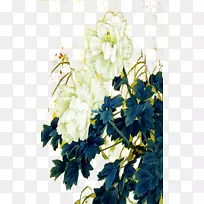 蓝色下载-牡丹-空若网 蓝色下载-牡丹-空若网