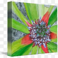 ����ֲ��Ұ��-���ܱ�Ե-������