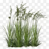 ��ľ�ݼ�����.���Ͳ�-������