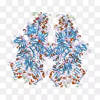 平面设计树线点树-空若网 平面设计树线点树-空若网