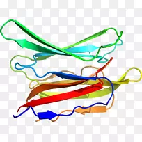 �ߵ������-��-������