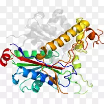 �ߵ������������-������