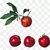 �ҰͰͶ�˹ӣ��ˮ��-��PNGͼ��-������