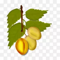 ����ȻʳƷˮ��-��-������