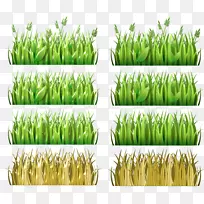 ��ݡ�����ݡ����ࡢ����-��˹��-������