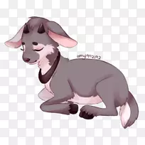 意大利灰狗犬繁殖鼻子-小狗-空若网 意大利灰狗犬繁殖鼻子-小狗-空若网