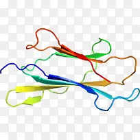 �ߵ������-��-������