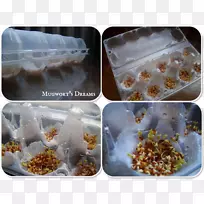 烹饪食谱-空若网 烹饪食谱-空若网