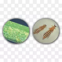 ��м�������-������